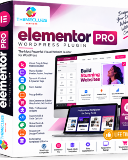 Elementor Pro WordPress Plugin – Page Builder & Theme Builder